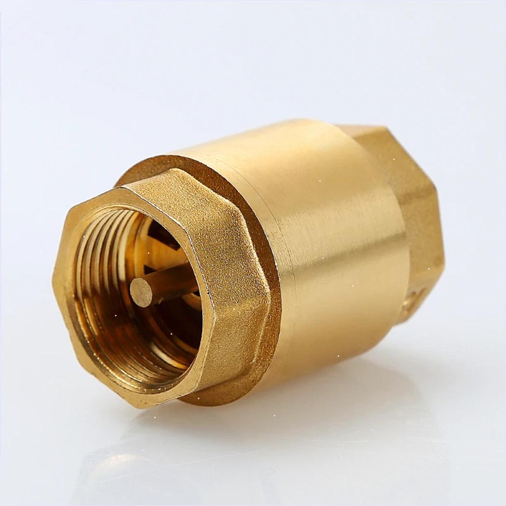 Check Valve for water control