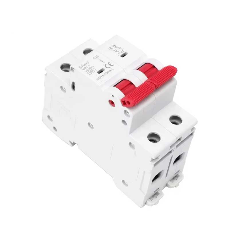 Disjoncteur miniature GYM10 AC 2 pôles 6A 10A 16A 20A 25A 32A 40A 50A 63A 220V/400V Courbe C 6KA Certifié CE CB