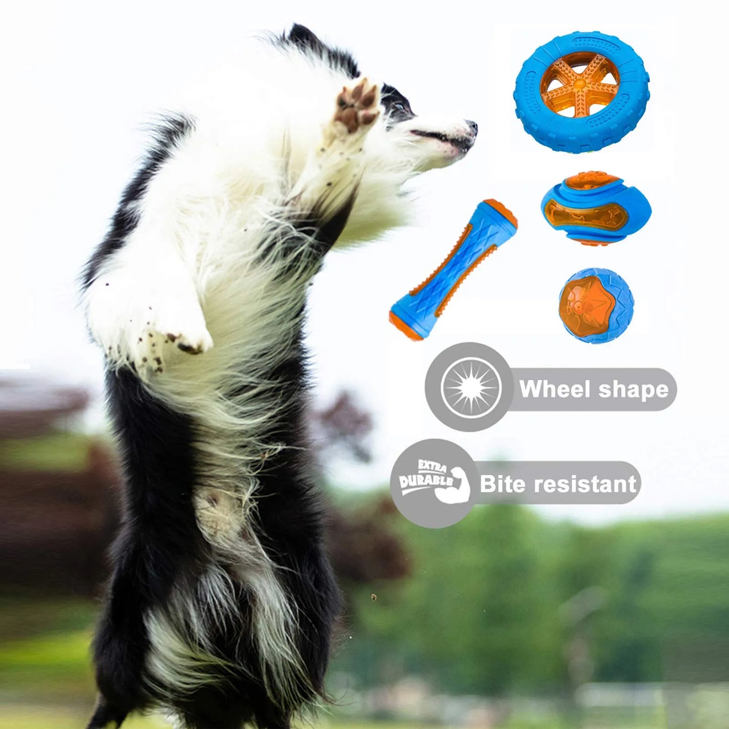 Hundekauspielzeug-Ball, interaktives Poolspiel, schwimmend, bissfest, quietschendes Gummi-Zappelspielzeug, Zubehörprodukt