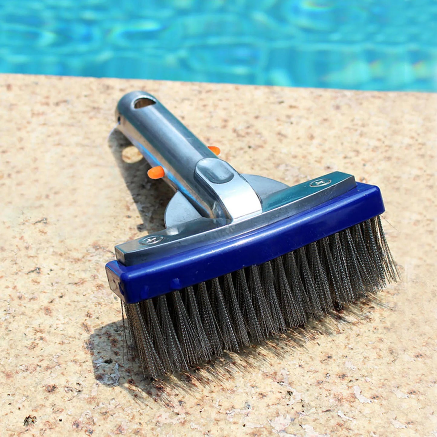 5.5in Swimming Pool Stainless Steel Brush