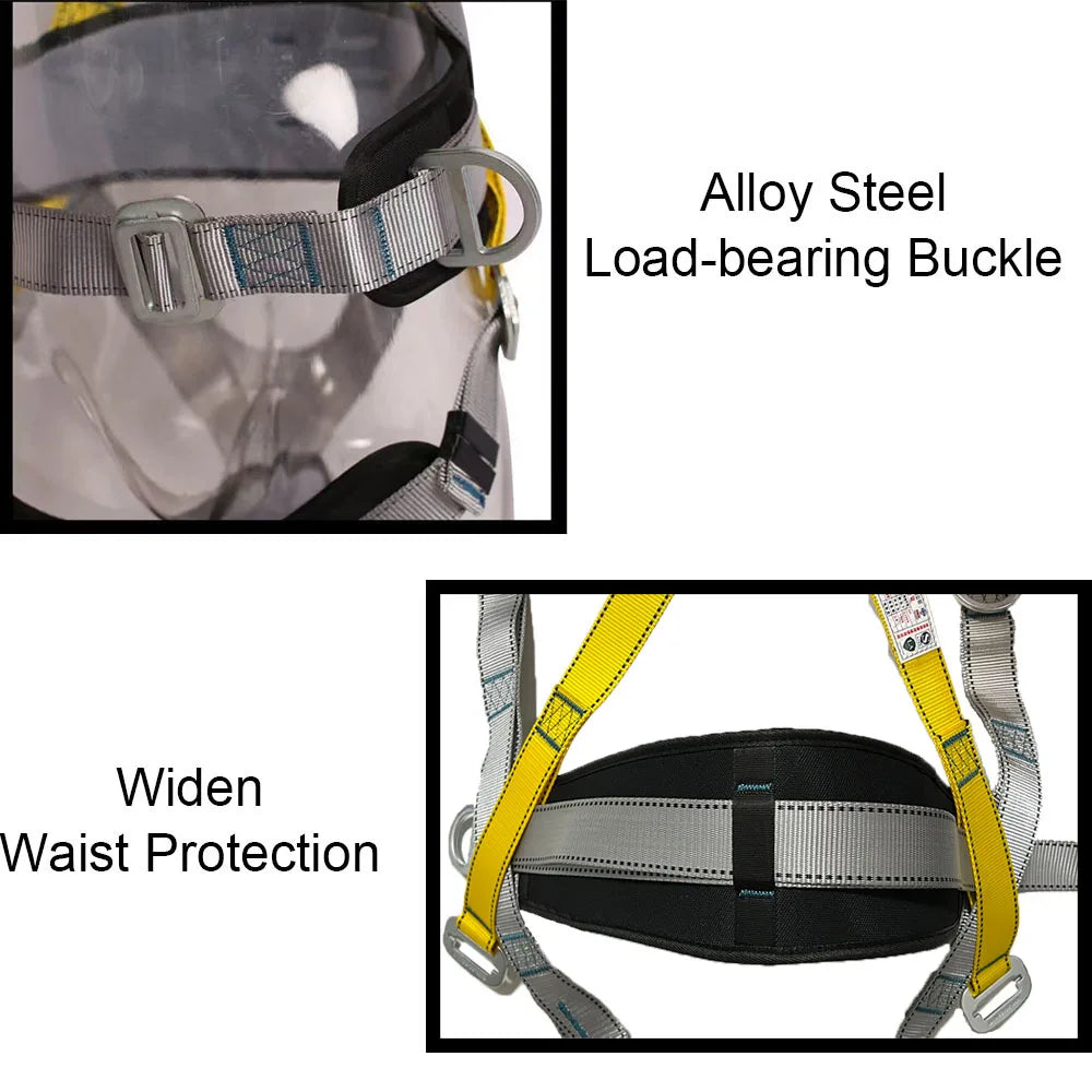 Training Belt