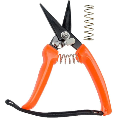 Coupe-sabot de chèvre 8 pouces, ciseaux de coupe de sabot de mouton, coupe-ongles pour plantes d'arbustes, ciseaux de coupe, outils de ciseaux de jardin