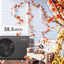 ALSAVO R290 7kW~16kW Air Source Heat Pump Monoblock - Single/Double Fans - Inverboost Multifunctional ASHP hot water