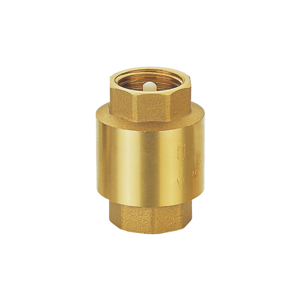 Check Valve