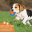 Jouet à mâcher pour chien, balle interactive, jeu de piscine, flottant, résistant aux morsures, couineur, en caoutchouc, jouet anti-stress, fournitures, produit