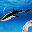 Spray Water RC Shark – Electric Remote Control Toy