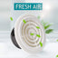 Decorative Wall Vent