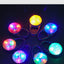 LED Pet Safety Light Bow Tie